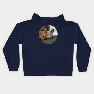 Mace the Streamer Cat Kids Hoodie